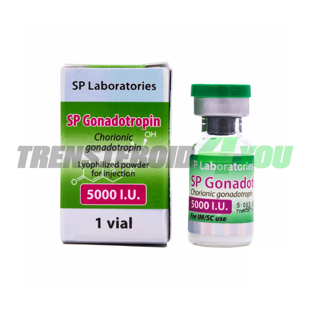 Chorionic Gonadotropin SP Labs 5000 IU