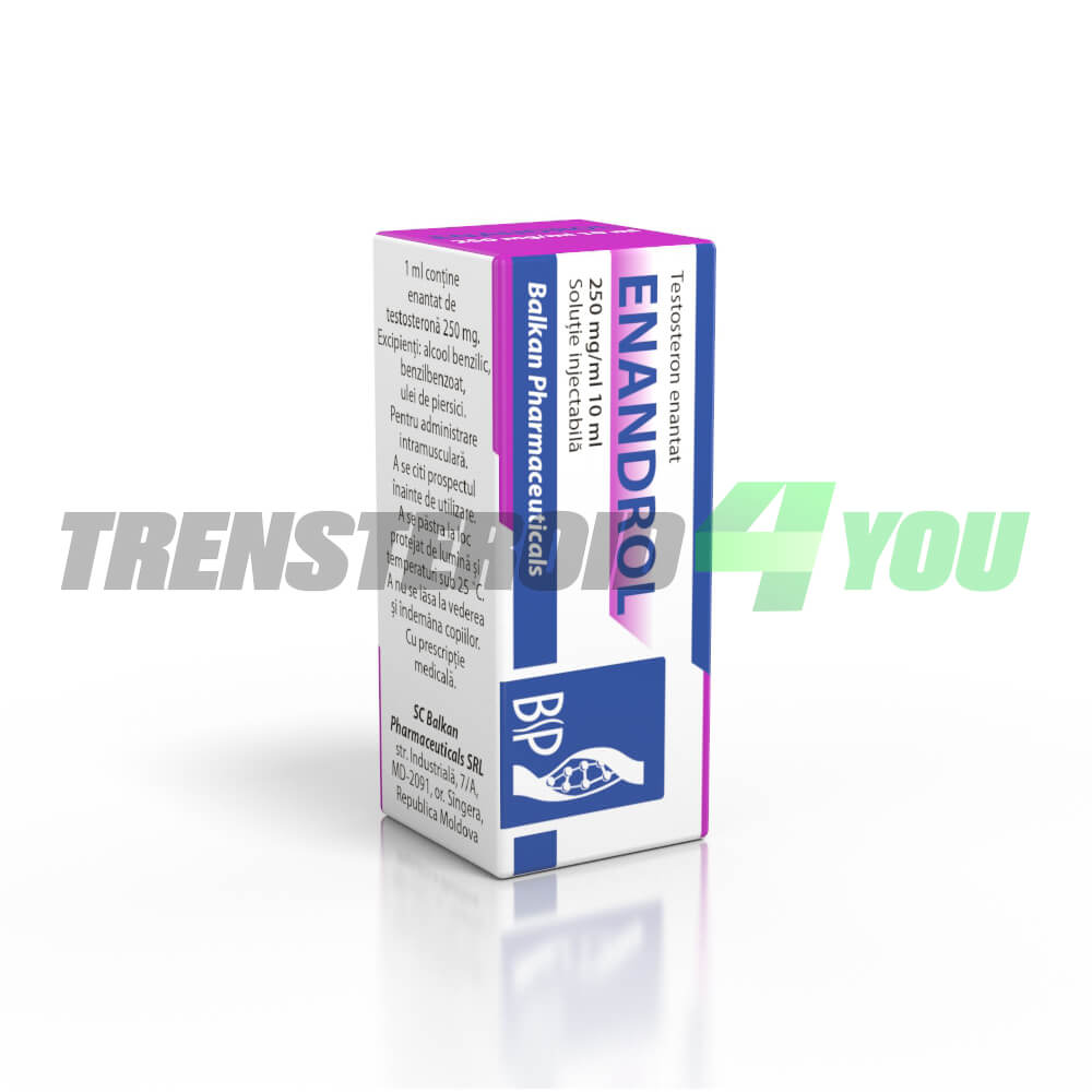 Enandrol Balkan Testosterone Enanthate 250 mg/ml vial