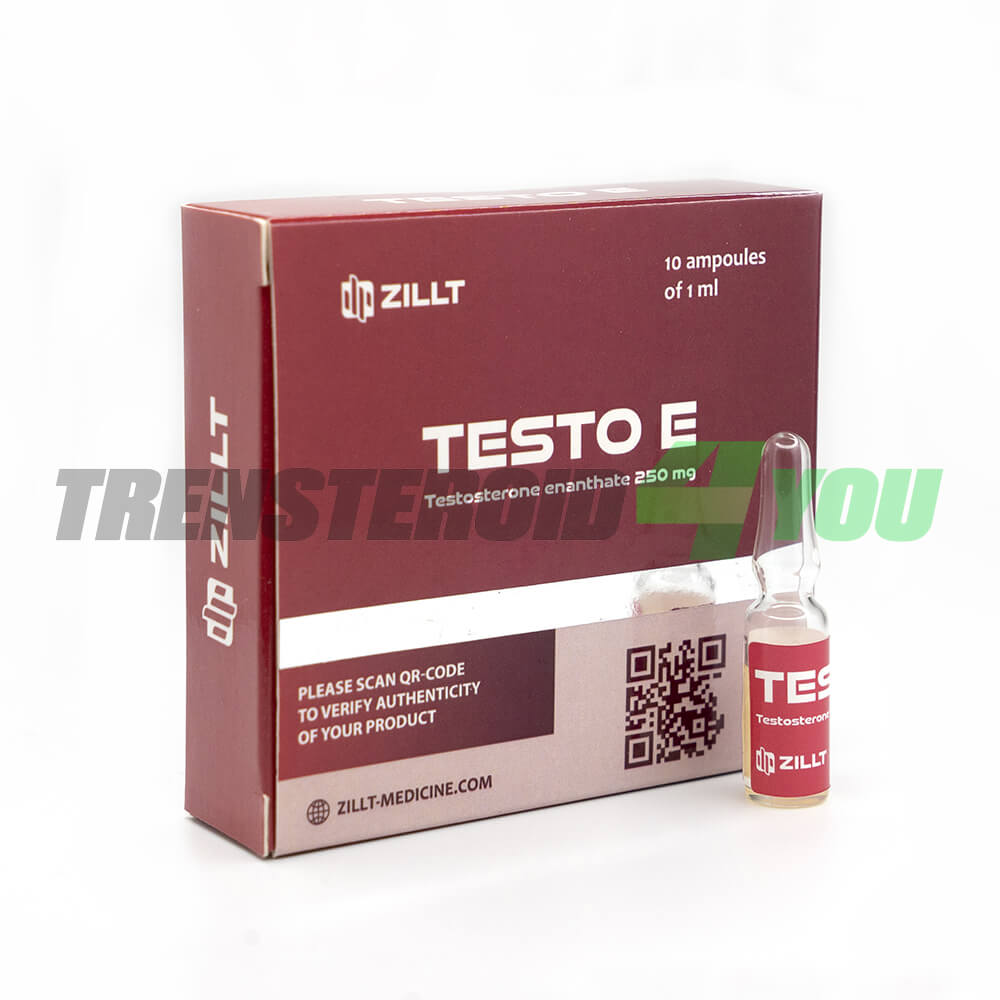 Testo E Zillt Medicine Testosterone Enanthate 250 mg/ml