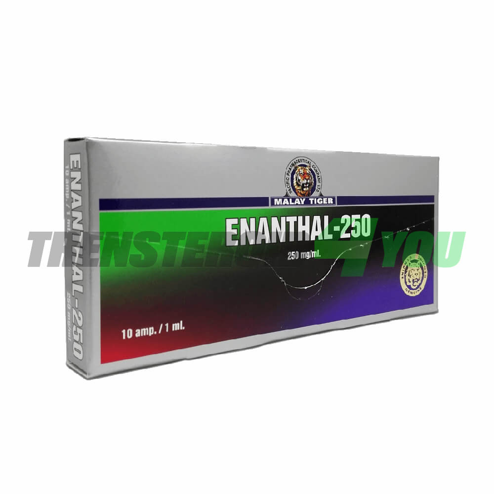 Enanthal-250 Malay Tiger Testosterone Enanthate 250 mg/ml