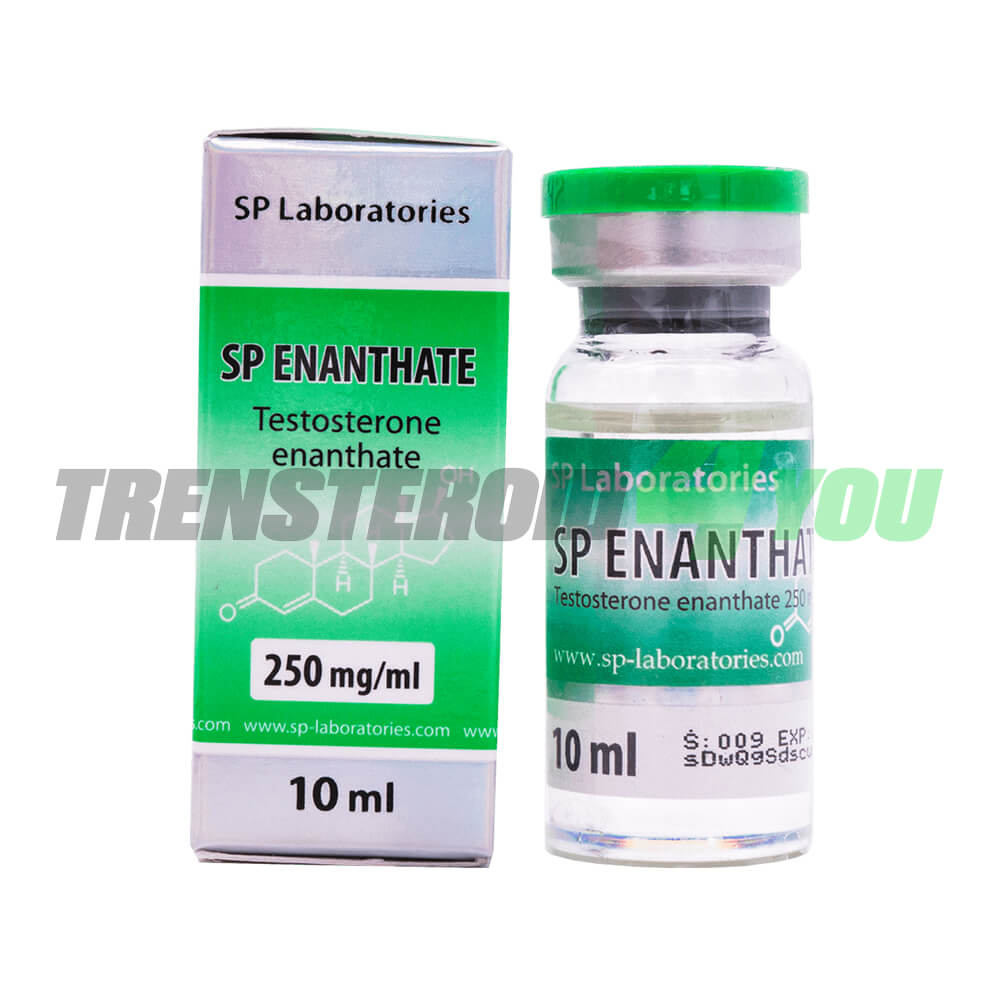 Testosterone Enanthate SP Labs 250 mg/ml