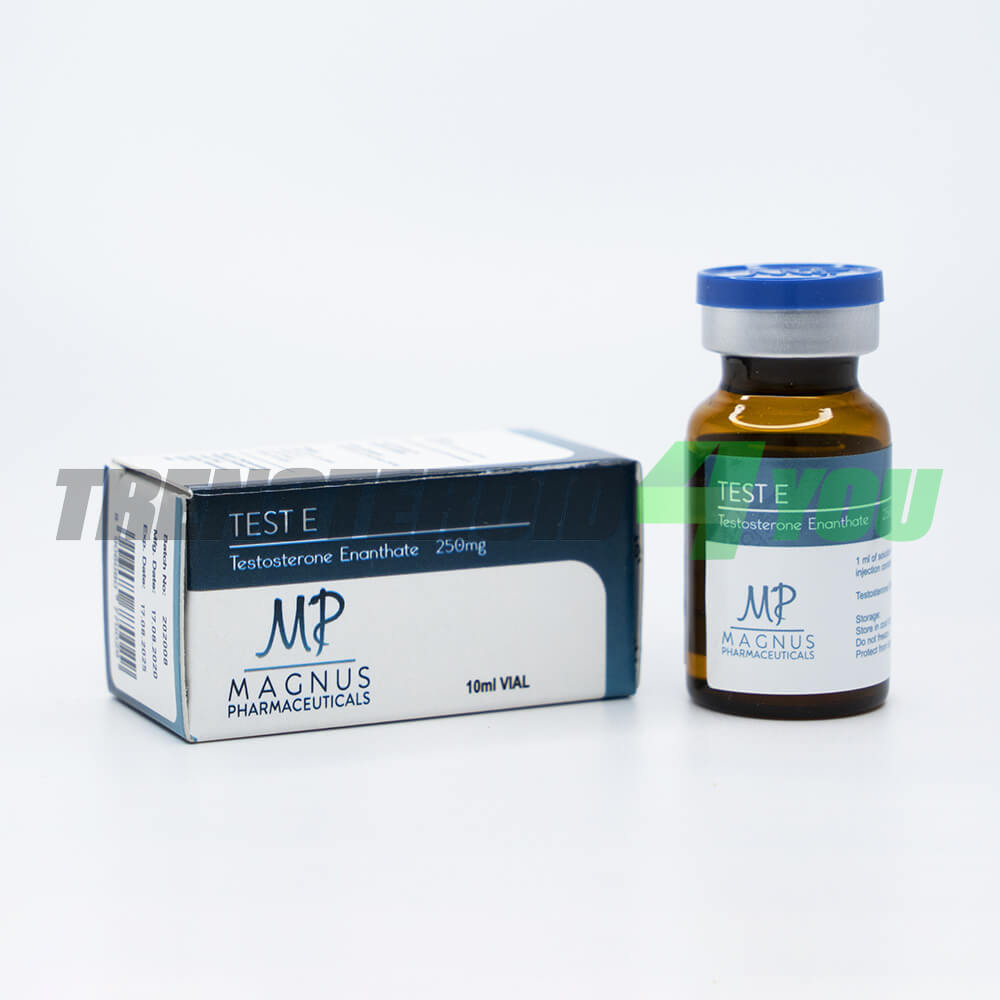 Test E Magnus Testosterone Enanthate 250 mg/ml