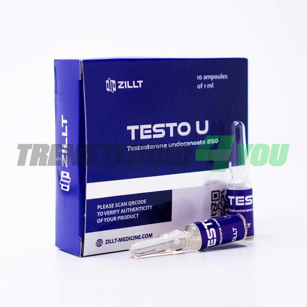 Testo U Zillt Medicine Testosterone Undecanoate 250 mg/ml
