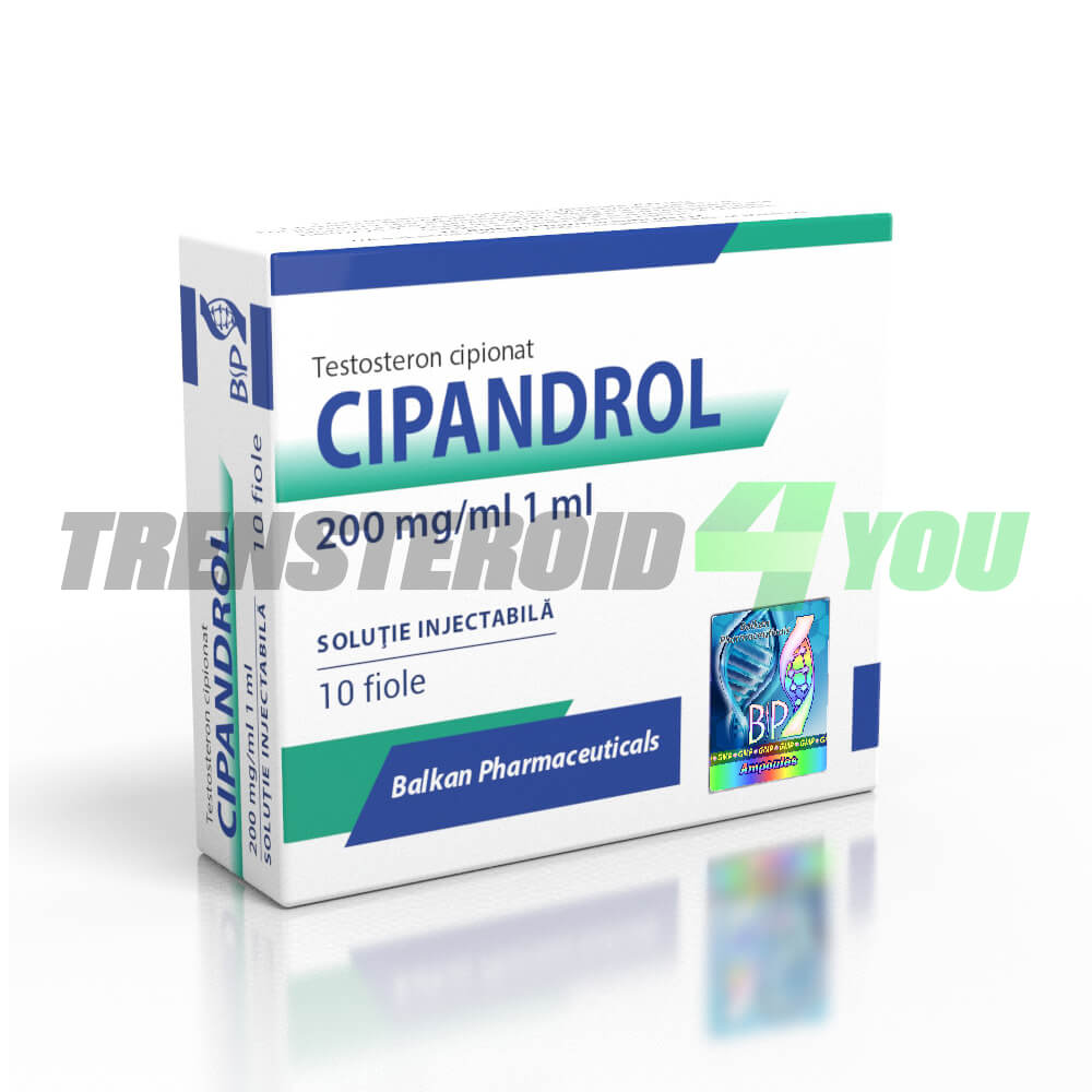 Cipandrol Balkan Testosterone Cypionate 200 mg/ml