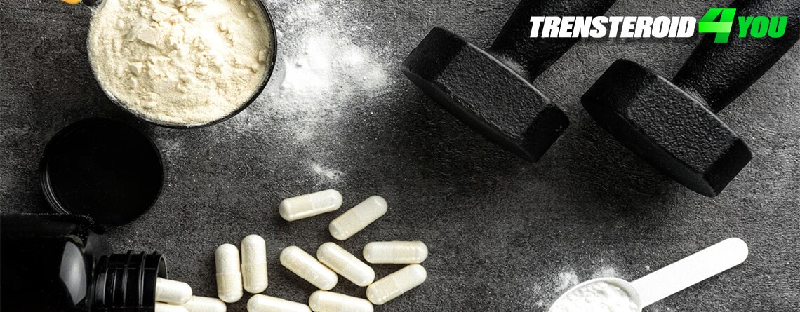 A Guide to Steroid Rules