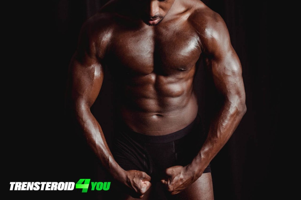 Anabolic steroids in bodybuilding