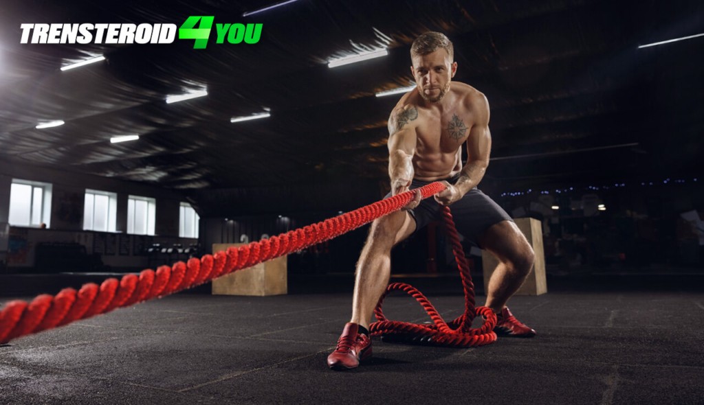 Improved endurance and recovery
