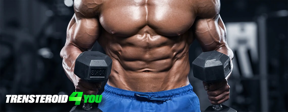 Top Safe Steroids: How to Choose and Use for Optimal Results
