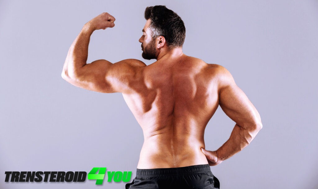 Increase muscle size