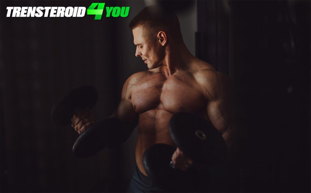Increased muscle mass