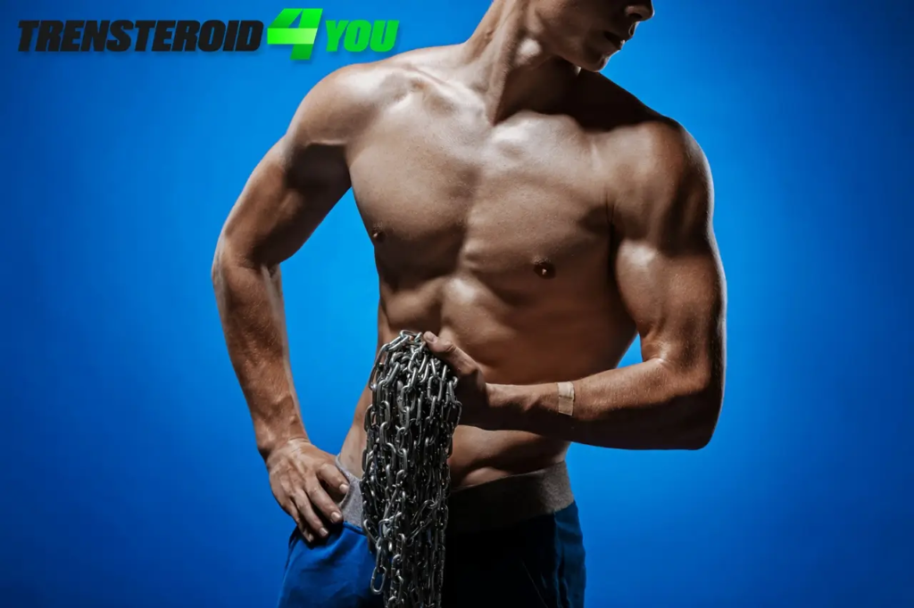 Stimulating muscle growth