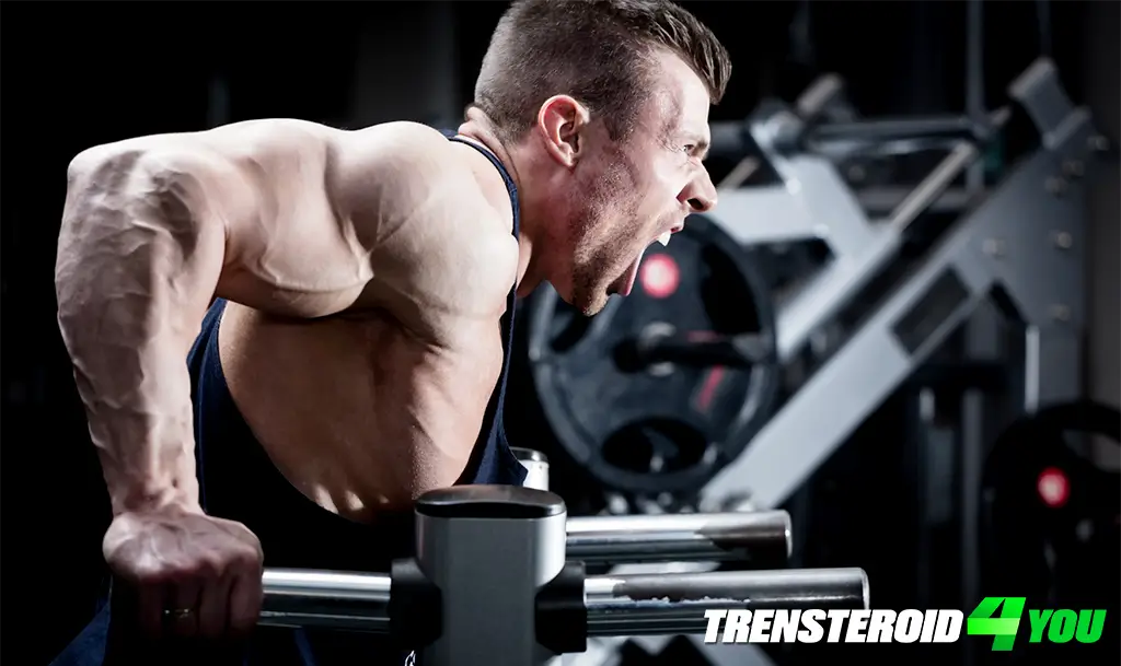 Advanced Tricep Training Techniques