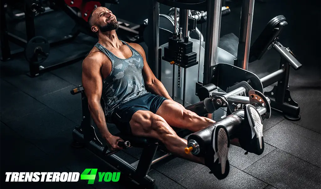Combining Leg Workouts with Full-Body Training