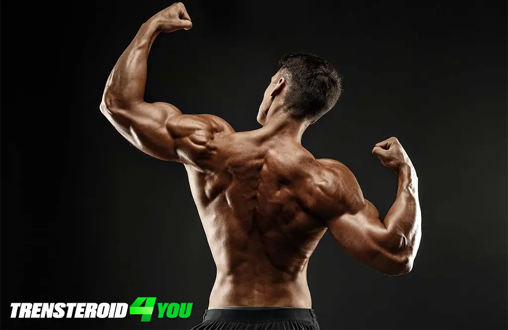 How to Avoid Overtraining