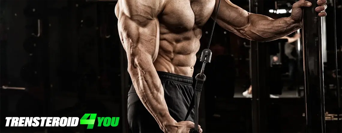 Top Tricep Exercises for Strength and Size