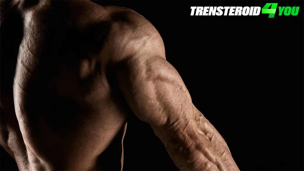 Top Tricep Exercises