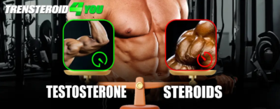 Testosterone vs. Steroids: What You Should Know