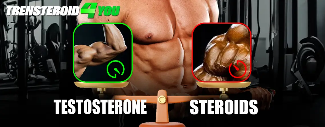 Testosterone vs. Steroids: What You Should Know