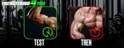 Tren vs. Test: Which is Right for You?