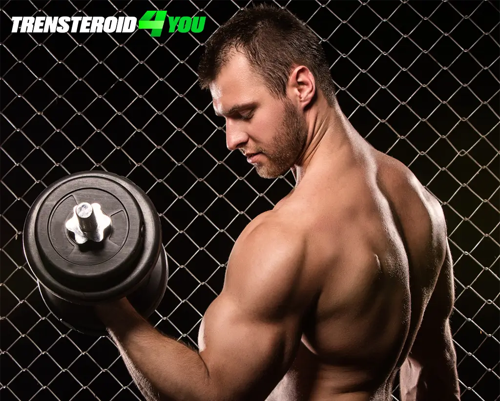 Trenbolone the strongest anabolic steroid