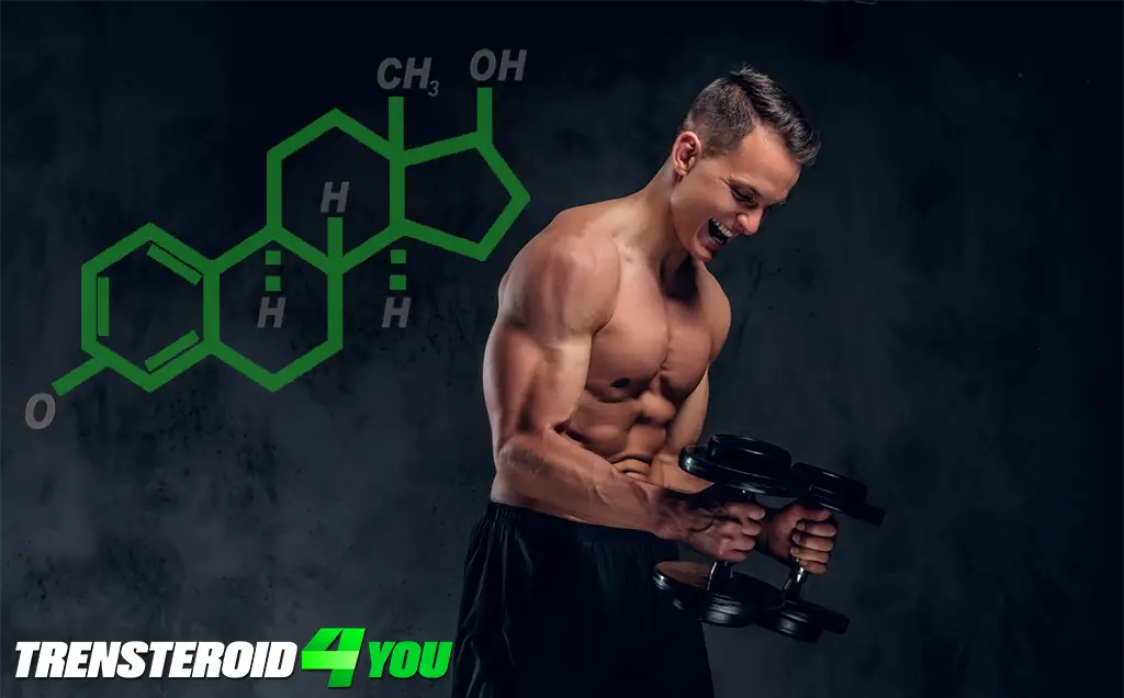 Understanding Testosterone