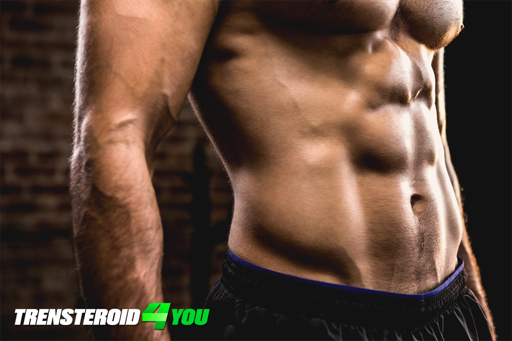 Gaining muscle mass in body building