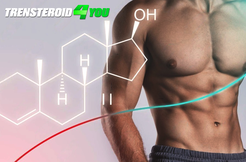 What Do Anabolic Steroids Treat?