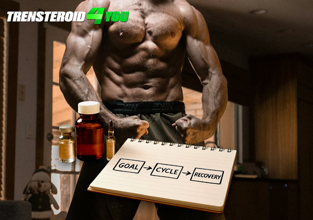 Basic Principles of Safe Steroid Stacking