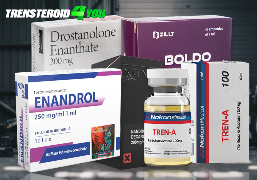 Main Types of Injectable Steroids