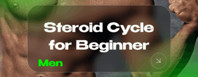 Steroid Cycle for Beginner (Men)