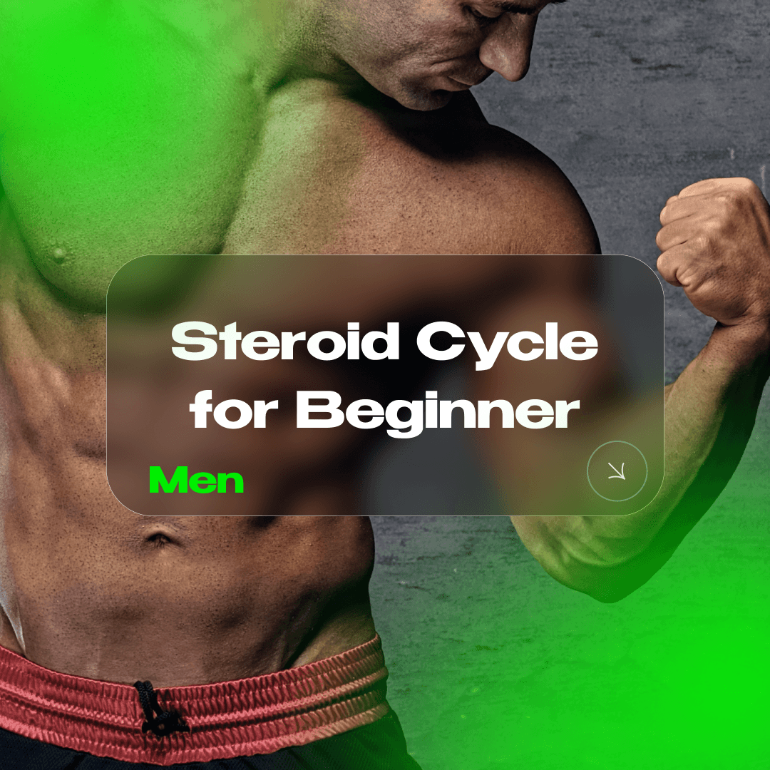 Steroid Cycle for Beginner (Men)