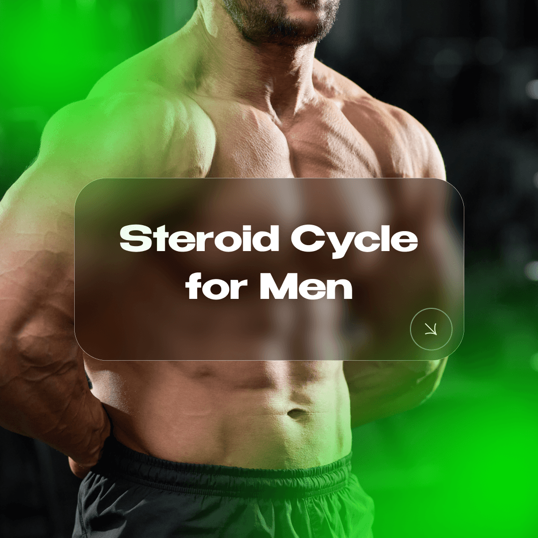 Steroid Cycle for Men