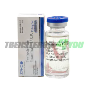 Testosterone Enanthate ZPHC 250 mg/ml vial