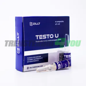 Testo U Zillt Medicine Testosterone Undecanoate 250 mg/ml